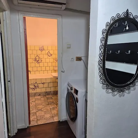 Dya * Ap Decomandat 2 Cam * Sat Vacanta Apartment